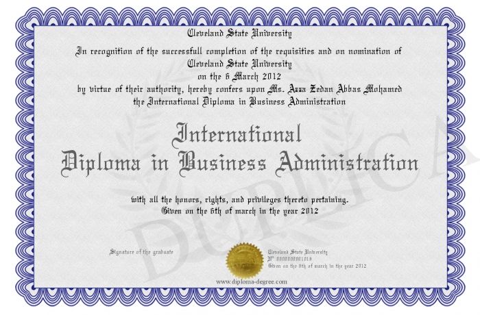 International Diploma Programme