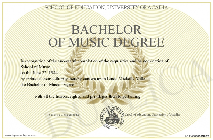 what is a degree in music industry