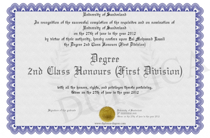 Degree without honours dissertation