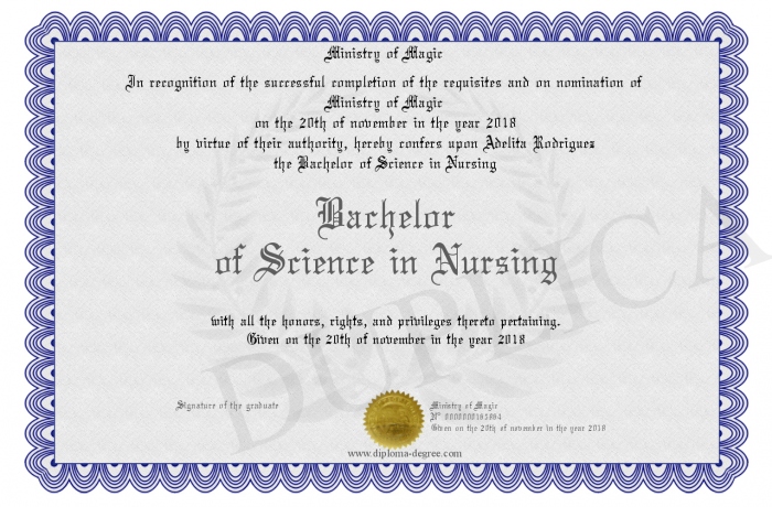 bachelors degree nursing