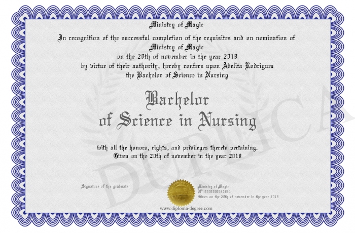 A Bachelors Degree In Nursing