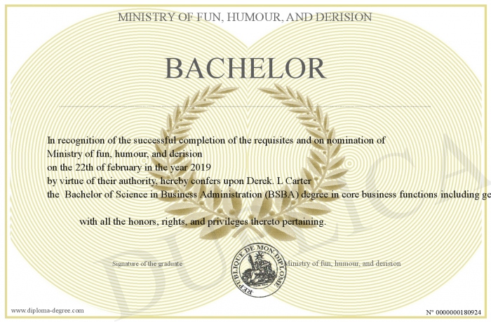 Bachelor Of Science In Business Administration Bsba Degree In Core Business Functions Including General Business Administration Accounting Finance Project Management Information Technology Human Resources Marketing International Business