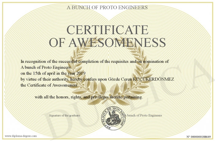 Certificate Of Awesomeness