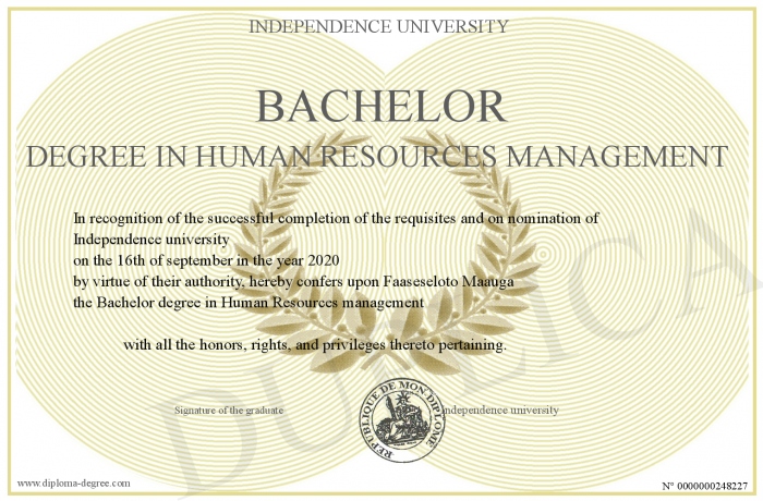bachelor degree in human resources
