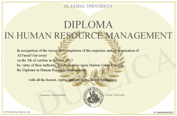 Top Human Resource Management Undergraduate Programs