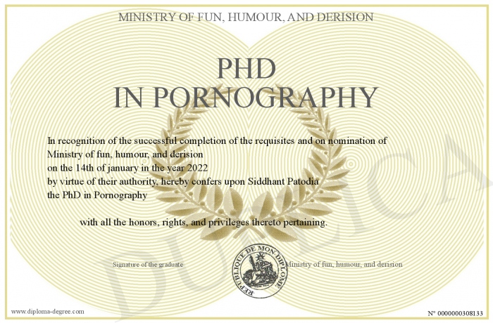 PhD-in-Pornography