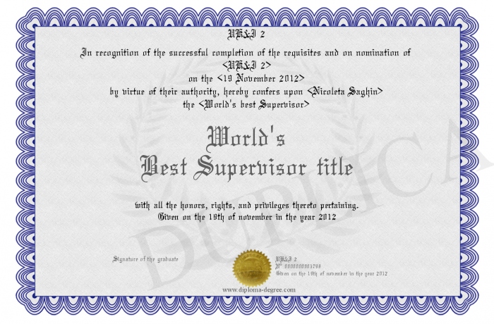 supervisor title