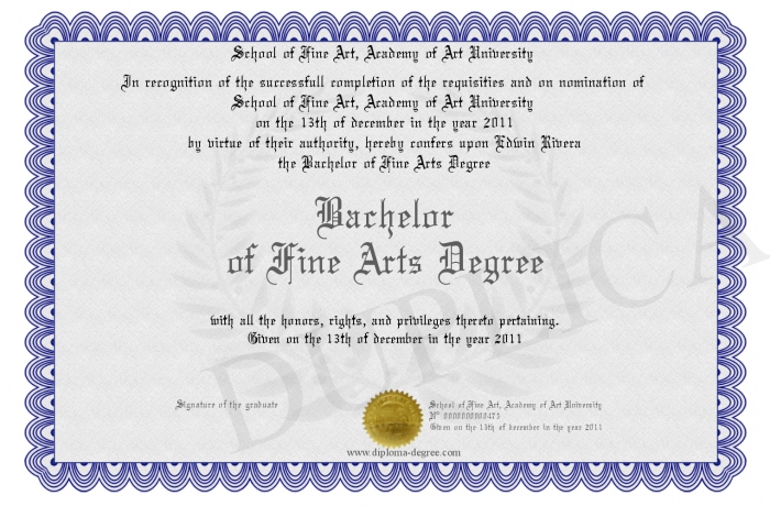 Bachelor of Fine Arts Degree