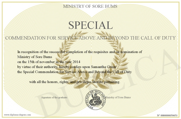 special commendation for service above and beyond the call of duty above and beyond the call of duty