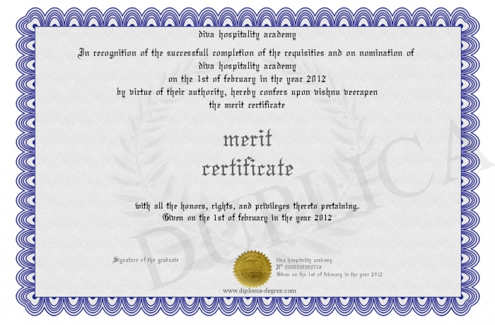 merit certificate