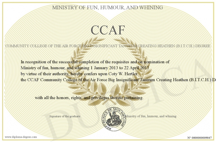ccaf information systems technology