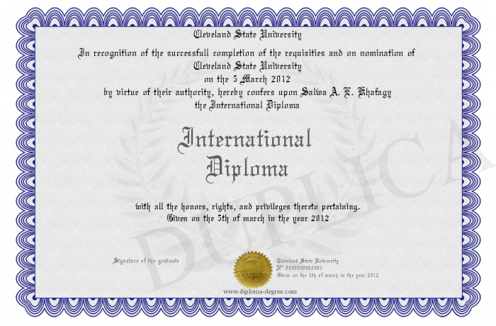 International Diploma Program